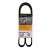 Correia 4PK1120 - Continental