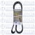 Correia 8PK1370 - Dayco