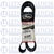 Correia 8PK1780