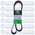 Correia 8PK1580 - comprar online