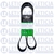 Correia 8PK1538 na internet