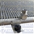 Condensador Máquina Escavadeira Jcb Js200 Compactador Cw34 - Leticia Ar Condicionado