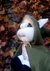 Banner de Aysiris