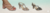 Imagem do banner rotativo Calçados Jamar