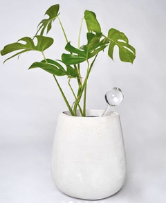 GOTA DE RIEGO chica - comprar online