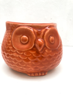 MACETA BUHO CERAMICA BUQHO - DEL PASEO PLANTAS