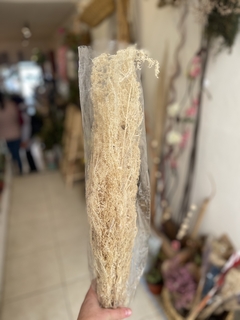 PAICO BLANQUEADO SECO
