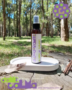 DESODORANTE SPRAY