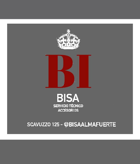 Bisa