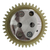 Bomba De Aceite P/ Custom 150 200 250 Rx 150 Sin Sop 39 E en internet