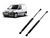 Kit X2 Amortiguadores Baul Trasero Partner Todos