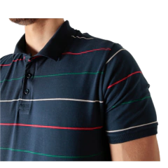 Imagen de POLO PIQUET LISTRAS