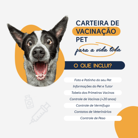 Carrossel 1