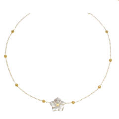 Colar Jardim Secreto Madrepérola Branca - comprar online