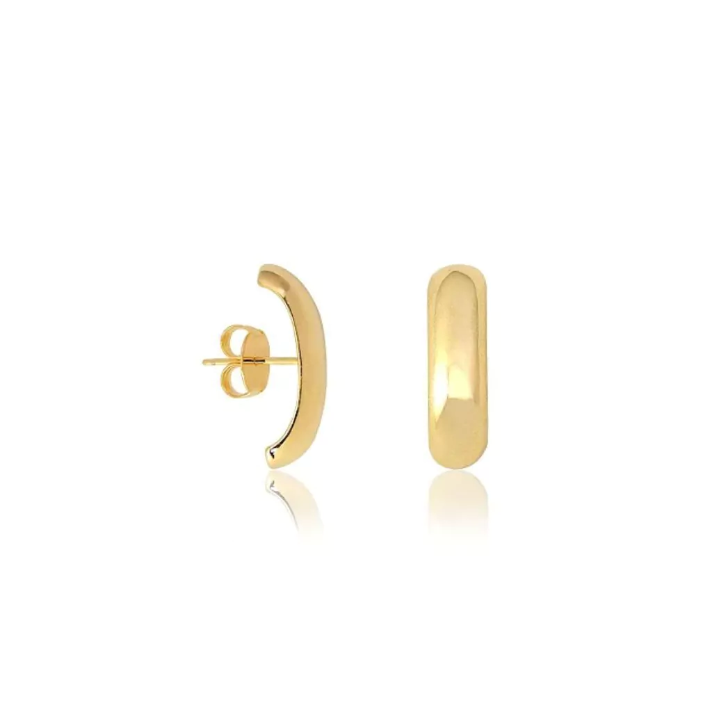 Brinco earhook Loren P celebrity