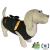 Colete com zíper para Cães e Gatos - Dog Play - comprar online