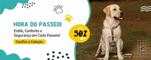 Carrossel 1