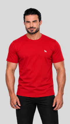 14 - CAMISETA ACOSTAMENTO na internet