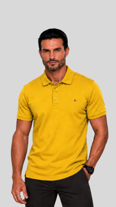 4 - CAMISA POLO ARAMIS