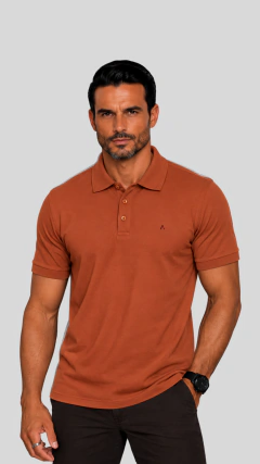 4 - CAMISA POLO ARAMIS na internet