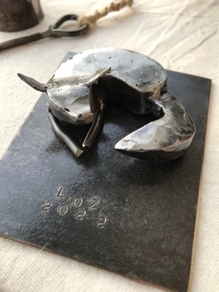 Zorrito