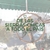 Banner de Helecho