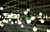 LÂMPADA LED AVANT 15W 6500K LUZ FRIA na internet