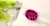 RUBI NATURAL OVAL 4.78CTS -  *DON NEXUS  Pedras Preciosas* 