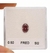 DIAMANTE VERMELHO CHIQUE, OVAL 0.50CTS QUILATES na internet