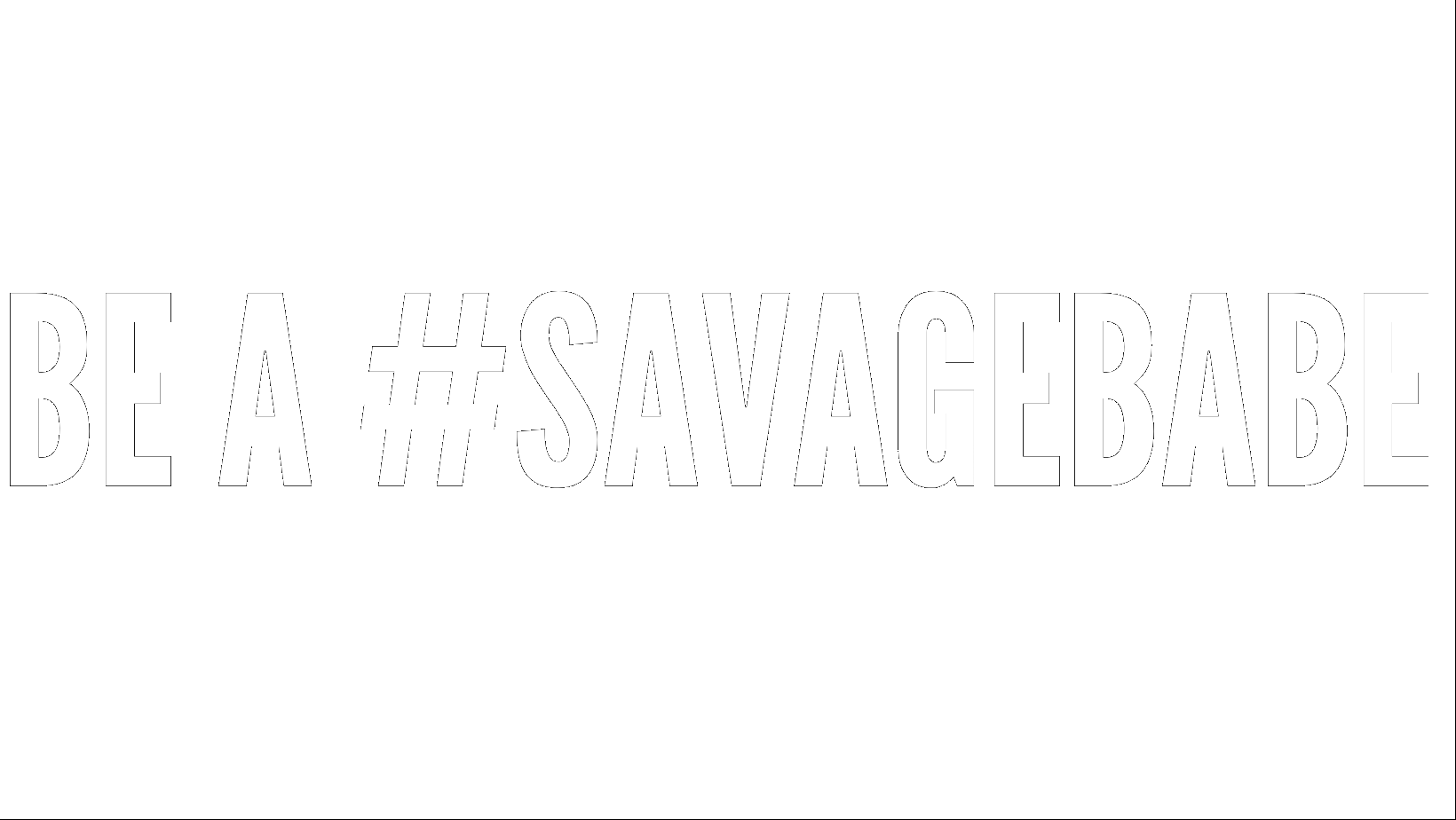Savage Store