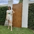 Shorts Gisele - loja online