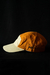 Gorra "S1" mostaza en internet