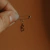 Alfinete Baby - Ouro 18k - loja online