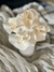FLORES PARA DIFUSOR II en internet