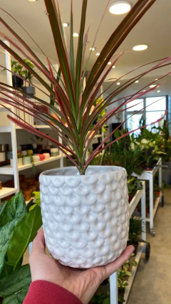 MACETA PIÑA - comprar online