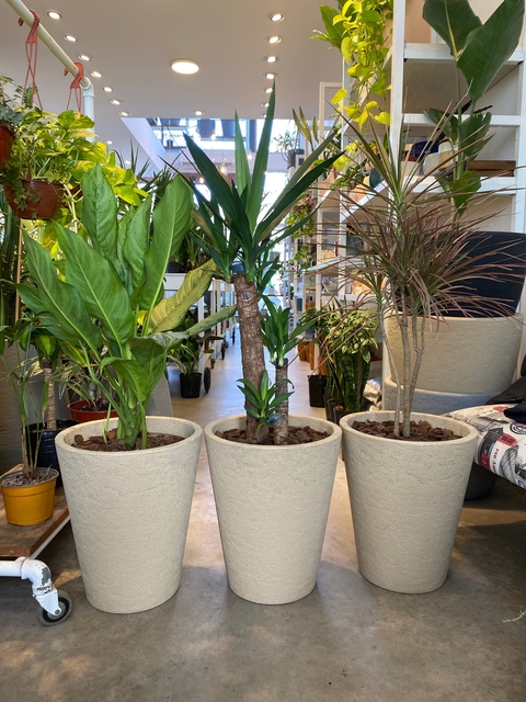 MACETA AFRICA N42