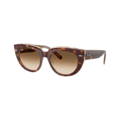 Ray-Ban RB2286 141451 Light Havana Gradient Brown en internet