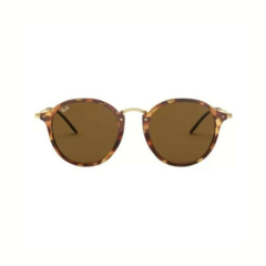 Ray-Bab RB2447 1160 Carey Marron degrade - comprar online