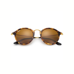Ray-Bab RB2447 1160 Carey Marron degrade en internet