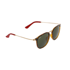 Ray-Ban RB2448NM F71071 Havana Verde oscuro - comprar online