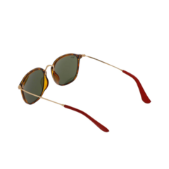Ray-Ban RB2448NM F71071 Havana Verde oscuro en internet