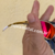 Óculos de Sol Juliet 24k Lente Ruby Premium Pinada C/ Kit Branco - comprar online