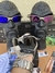 Romeo2 X-Metal Lentes Black Pinada Premium - JUJU_XMETAL