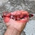 Óculos de Sol Compulsive Dart Bord Lentes Rosa Clear 100% Polarizadas Top - loja online