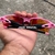Flak Jacket 2.0 Rosa/Preta Lentes Prizm Top - loja online