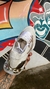 MIZUNO PROPHECY SORAYAMA IMPORTADO - loja online