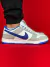 NIKE SB DUNK LOW