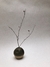 Esfera Deformada