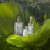 Figue Blanche (Figo com Chá Branco) - comprar online