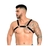 Arreio Harness Sensual